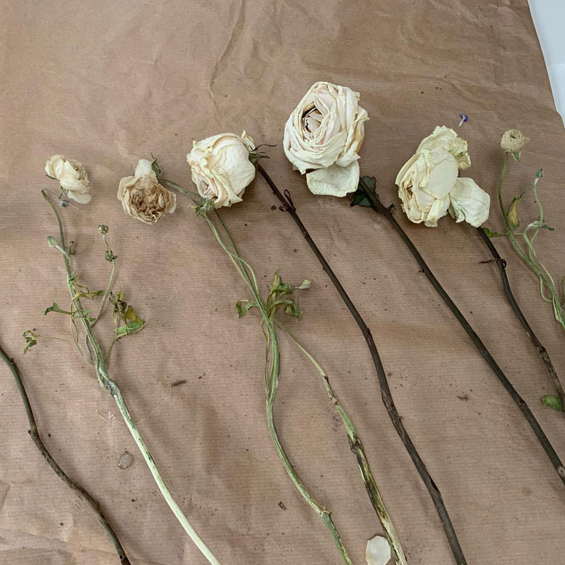 Dried Flower Class